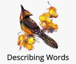 describing words